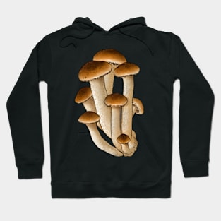 Armillaria Hoodie